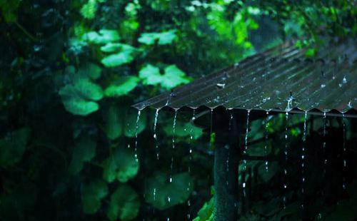 2022上海梅雨季節(jié)是什么時(shí)間