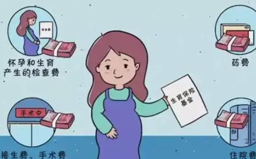 生育保險(xiǎn)是從建檔開(kāi)始報(bào)銷的嗎