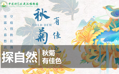 武漢植物園11月16日上午探自然活動報(bào)名方法