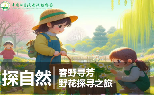 武漢植物園3月16日半日親子營活動內(nèi)容和報(bào)名方法