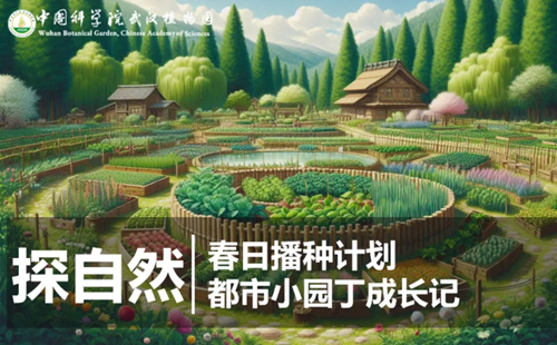 武漢植物園3月23日半日親子營課程內(nèi)容和報名方式