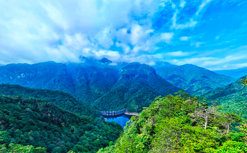 江西井岡山風(fēng)景區(qū)門票價格和優(yōu)惠政策2025