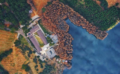 2022東湖杉美術館端午節(jié)開放時間