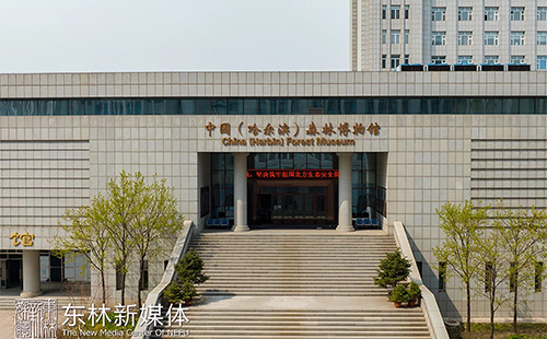 東北林業(yè)大學博物館開放時間及預(yù)約入口2025