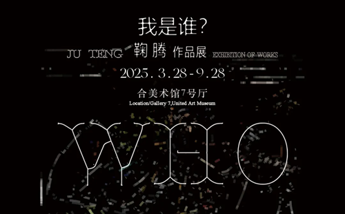 武漢合美術(shù)館鞠騰作品展覽時間2025